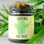 Personalised Cactus Jar Grow Kit, thumbnail 8 of 12