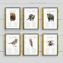 Woodland Animals Table Plan Cards, thumbnail 6 of 7