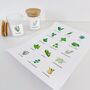 Sheet Of 15 Illustrated Colour Herb Labels, thumbnail 6 of 8