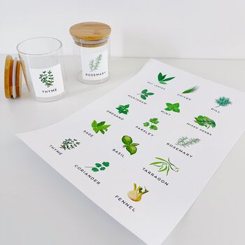 Sheet Of 15 Illustrated Colour Herb Labels, 6 of 8