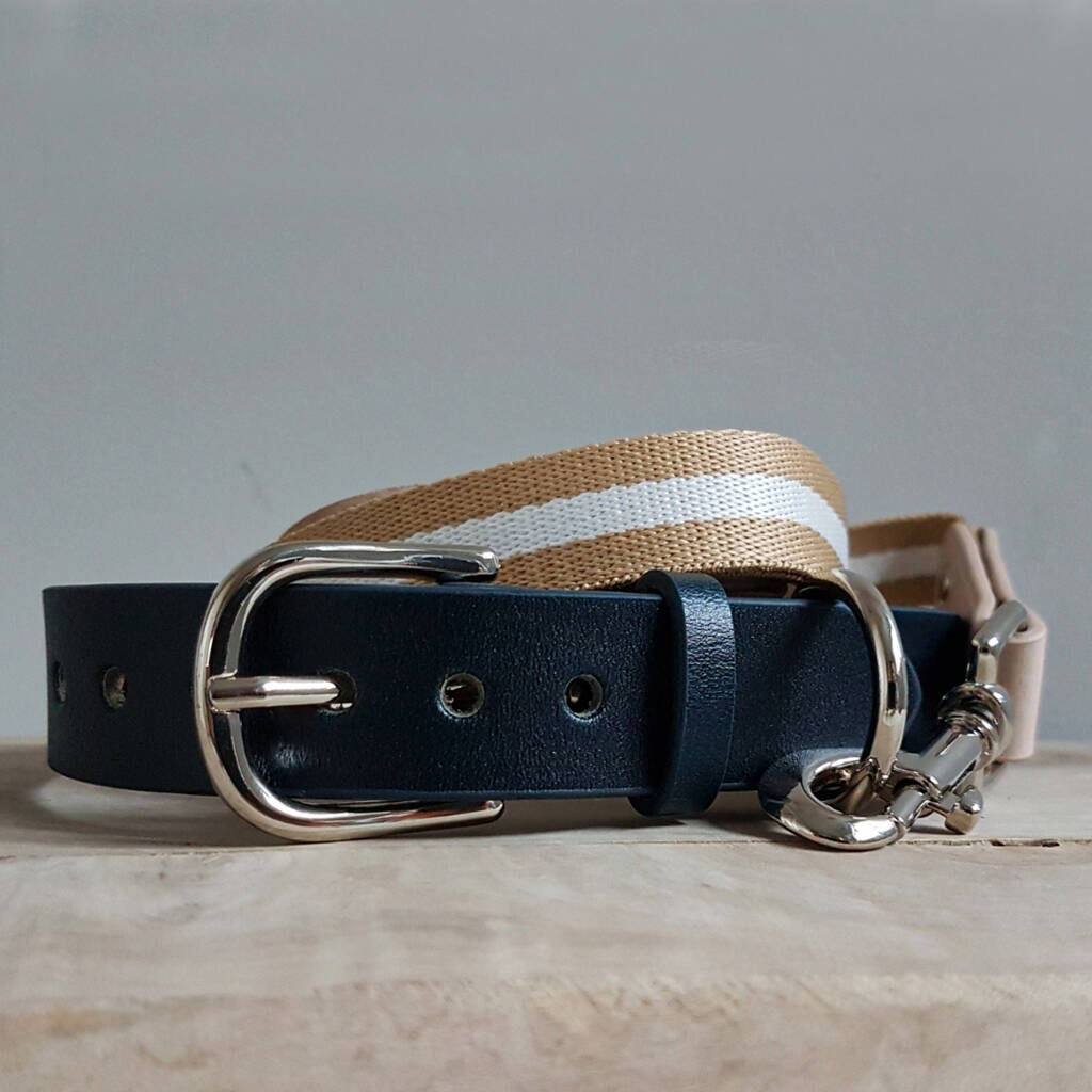 Super Soft Genuine Leather Classic Navy Dog Collar By Ollie & Co