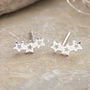Sterling Silver Twinkle Star Earrings Studs, thumbnail 3 of 5