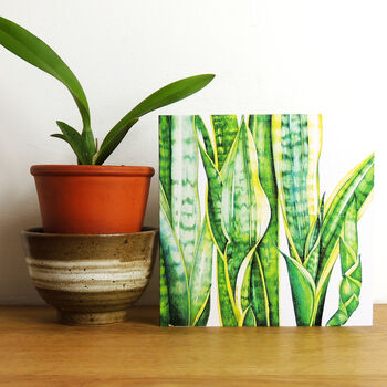 Mixed Botanical Greetings Card Pack Four, 4 of 7