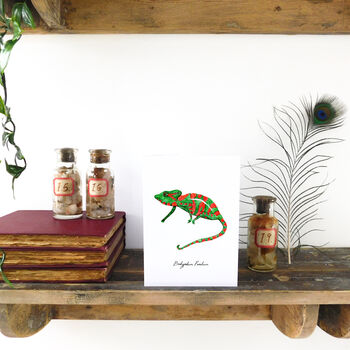 Camouflage Cape Dwarf Chameleon Greetings Card, 7 of 7