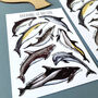 Dolphins Of Britain Watercolour Postcard, thumbnail 11 of 12