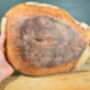 Hand Carved Wooden Bowl Locally Sourced Yew Tree, thumbnail 4 of 11
