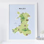 Map Of Wales Print, thumbnail 1 of 2