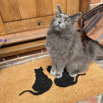 Cat Lovers Silhouette Indoor And Outdoor Coir Doormat, 2 of 5