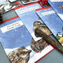 Funny Wildlife Christmas Card Pack Of 12, thumbnail 3 of 7