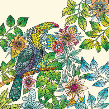 'Toucan Pattern' Print, 3 of 3