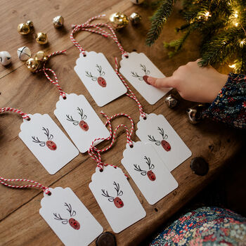 Make Your Own Christmas Reindeer Gift Tag Making Kit, 3 of 9