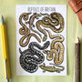 Reptiles Of Britain Watercolour Postcard, thumbnail 1 of 10