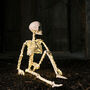 Micro LED Light Up Skeleton Halloween Decoration, thumbnail 3 of 12