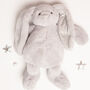 Gift Boxed Grey Soft Plush Bunny Toy, thumbnail 4 of 5