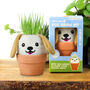 Dog Grow Kit – Grow Pal Plush With Ceramic Plant Pot, thumbnail 1 of 4
