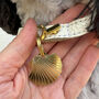 Brass Shell Dog ID Tag Personalised And Engraved, thumbnail 1 of 5