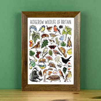 Hedgerow Wildlife Of Britain Greeting Card, 5 of 8