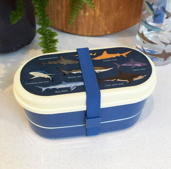 Children's Shark Design Bento Lunch Box, 2 of 12