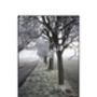 Frosty Trees, Occold, Suffolk Photographic Art Print, thumbnail 3 of 4