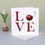 'Love' Card And Gift Tag, thumbnail 1 of 2