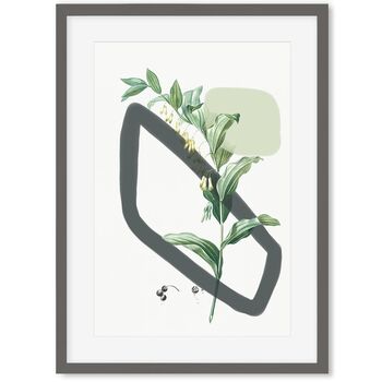 Vintage Plants With Shapes Art Print, 2 of 6