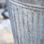 Traditional Grey Metal Bucket Planter, thumbnail 3 of 5