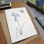 Bluebell And Bee Any Occasion Greetings Card, thumbnail 2 of 8