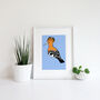 African Hoopoe Print On Blue, thumbnail 3 of 5