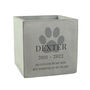 Personalised Pet Memorial Sympathy Plant Pot, thumbnail 4 of 4