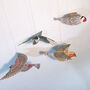 Pop Up Bird Decoration Kit, thumbnail 1 of 12