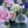 Peaches And Cream Rose Gift Bouquet, thumbnail 3 of 9