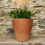 Personalised Fathers Day Pot For Dad With Eco Compost, thumbnail 2 of 5