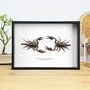 Giant Forest Scorpion Pair Handcrafted Frame, thumbnail 1 of 3