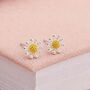10mm Sterling Silver Daisy Stud Earrings, thumbnail 1 of 7