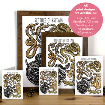 Reptiles Of Britain Greeting Card, 4 of 11