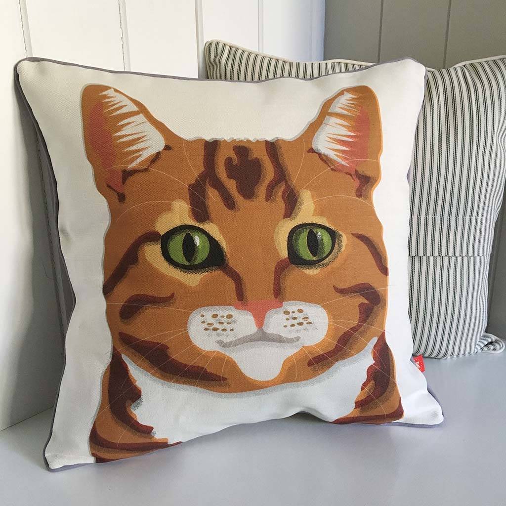 marmalade cat feature cushion by keylime design | notonthehighstreet.com