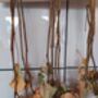 Dried Flower And Herbs Drying Rack, thumbnail 8 of 8