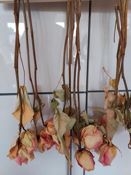 Dried Flower And Herbs Drying Rack, 8 of 8