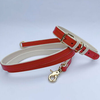 Handmade Italian Leather Dog Puppy Lead In Red, 2 of 6