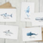 Sea Creature Note Card Pack, thumbnail 2 of 7
