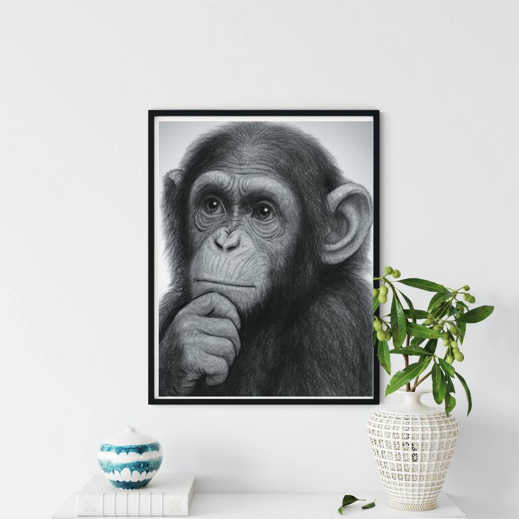 Chimp Wildlife Hand Drawn A4 Print, 1 of 4
