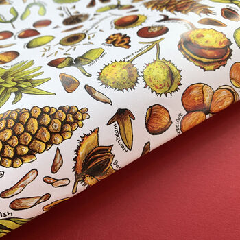 Nuts And Seeds Wrapping Paper Set, 2 of 3