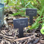 Funny Slate Plant Markers Set Of Six, thumbnail 4 of 6