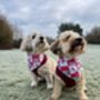Pink Love Bug Bear Dog Bandana, thumbnail 5 of 8