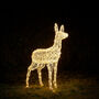 Swinsty Doe Dual Colour LED Light Up Reindeer One.05m, thumbnail 3 of 6