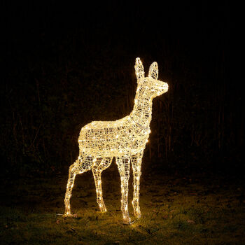 Swinsty Doe Dual Colour LED Light Up Reindeer One.05m, 3 of 6