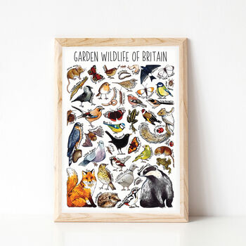 Garden Wildlife Of Britain Wildlife Print, 6 of 9