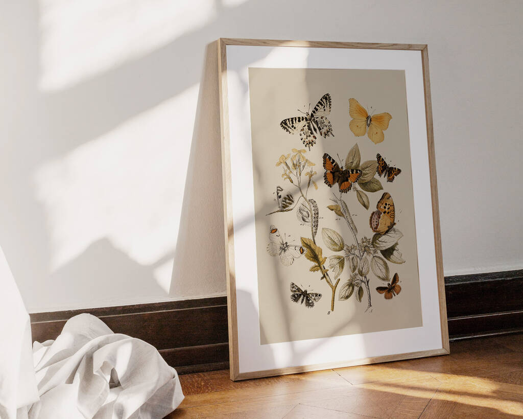 Botanical Butterfly Art Print By Norfolk Print Collective