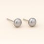 Sterling Silver Grey Freshwater Pearl Stud Earrings, thumbnail 1 of 6