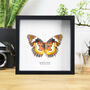 Red Lacewing Handcrafted Frame, thumbnail 1 of 3
